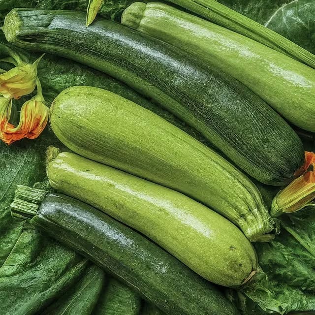 Nutritional Benefits of Zucchini in Your Daily Die