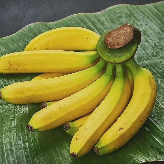 A Beginner's Guide to Popular Banana Varieties in 