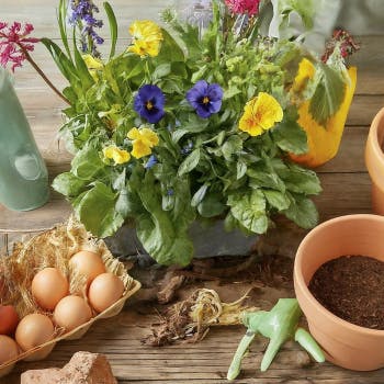 Spring Sowing Essentials for a Lush Garden